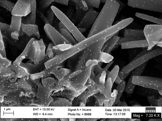 carbon nanoshells 2