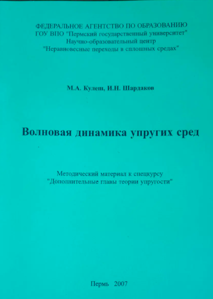 Кулеш М.А., Шардаков И.Н. Волновая динамика упругих сред.